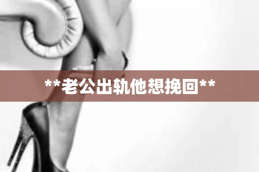 **老公出轨他想挽回**