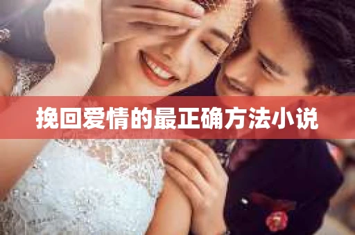 挽回爱情的最正确方法小说