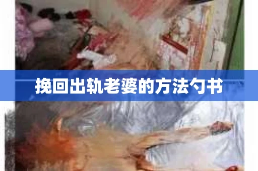 挽回出轨老婆的方法勺书