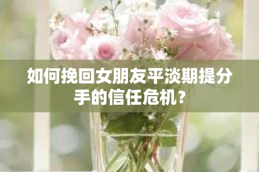 如何挽回女朋友平淡期提分手的信任危机？