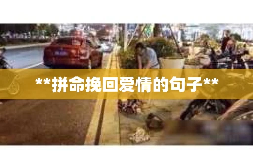 **拼命挽回爱情的句子**