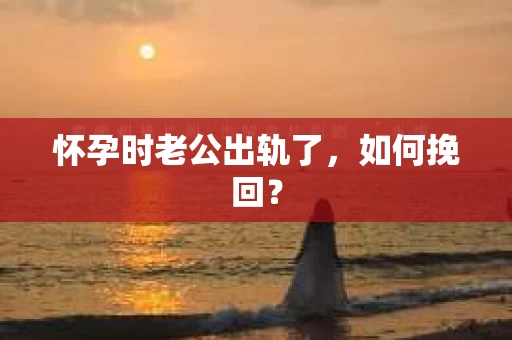 怀孕时老公出轨了，如何挽回？