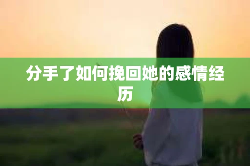 分手了如何挽回她的感情经历
