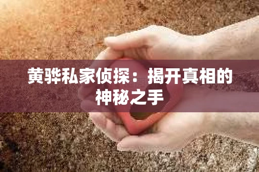 黄骅私家侦探：揭开真相的神秘之手