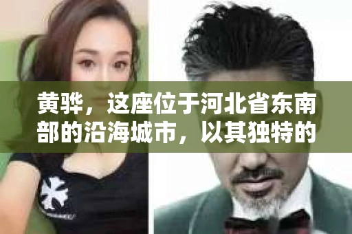 黄骅，这座位于河北省东南部的沿海城市，以其独特的地理位置和丰富的历史文化而闻名。然而，在这座城市中，还有一群人，他们以另一种方式默默守护着社会的公平与正义——私家侦探。今天，我们就来聊聊黄骅的私家侦探，看看他们是如何在这个城市中发挥作用的。