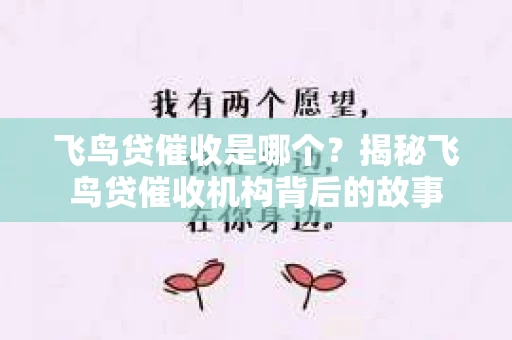 飞鸟贷催收是哪个？揭秘飞鸟贷催收机构背后的故事