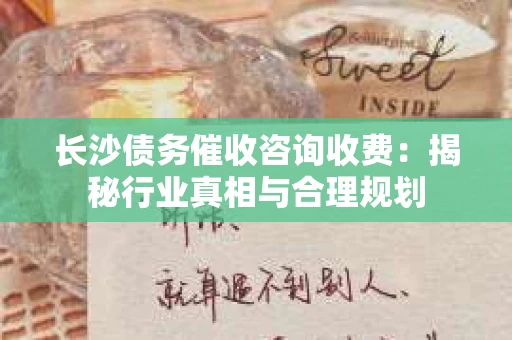 长沙债务催收咨询收费：揭秘行业真相与合理规划