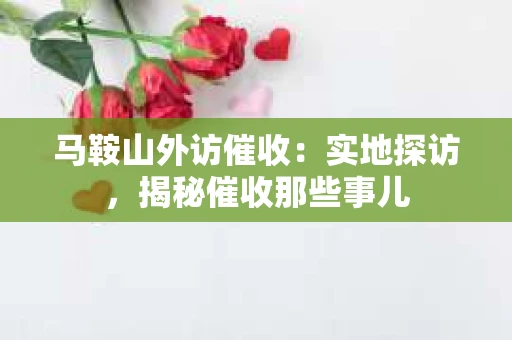 马鞍山外访催收：实地探访，揭秘催收那些事儿