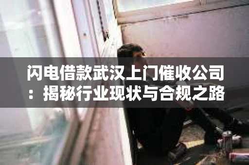 闪电借款武汉上门催收公司：揭秘行业现状与合规之路