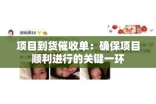 项目到货催收单：确保项目顺利进行的关键一环