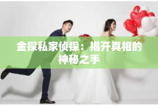 金探私家侦探：揭开真相的神秘之手