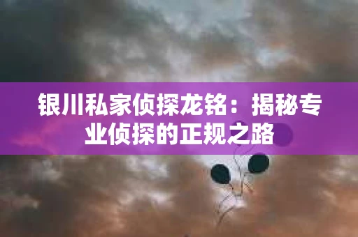 银川私家侦探龙铭：揭秘专业侦探的正规之路
