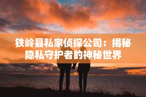 铁岭县私家侦探公司：揭秘隐私守护者的神秘世界