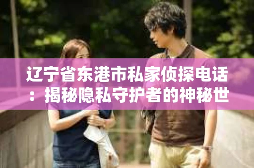 辽宁省东港市私家侦探电话：揭秘隐私守护者的神秘世界