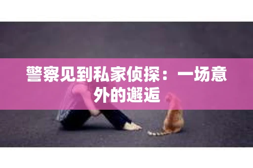警察见到私家侦探：一场意外的邂逅