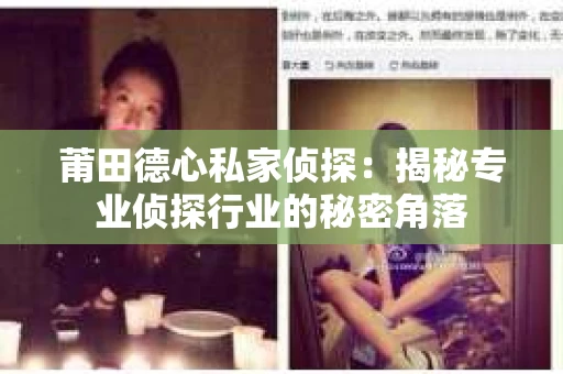 莆田德心私家侦探：揭秘专业侦探行业的秘密角落