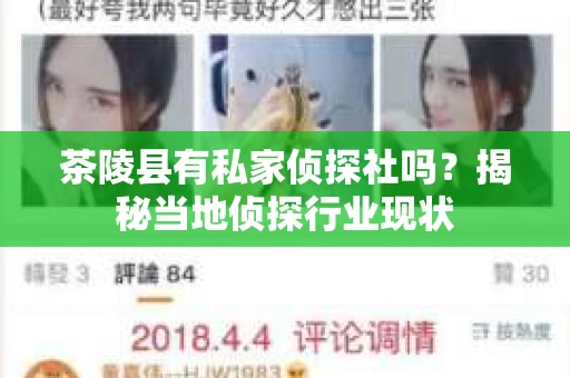 茶陵县有私家侦探社吗？揭秘当地侦探行业现状