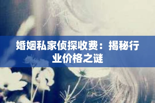 婚姻私家侦探收费：揭秘行业价格之谜