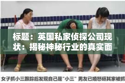 标题：英国私家侦探公司现状：揭秘神秘行业的真实面貌