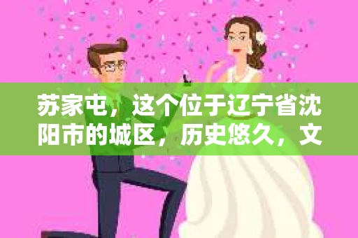 苏家屯，这个位于辽宁省沈阳市的城区，历史悠久，文化底蕴深厚。近年来，随着社会的发展，人们对于私家侦探的需求也逐渐增加。那么，苏家屯有私家侦探吗？今天，我们就来聊聊这个话题。