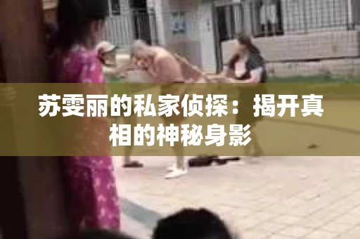 苏雯丽的私家侦探：揭开真相的神秘身影