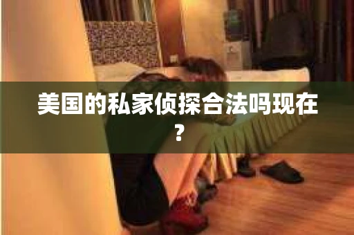 美国的私家侦探合法吗现在? 美国的私家侦探合法吗现在?