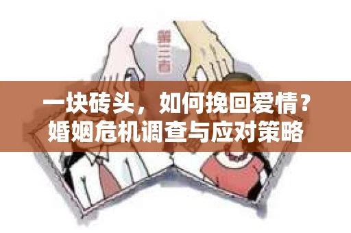 一块砖头，如何挽回爱情？婚姻危机调查与应对策略