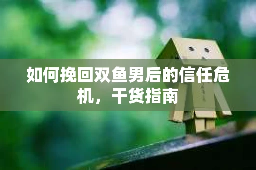 如何挽回双鱼男后的信任危机，干货指南