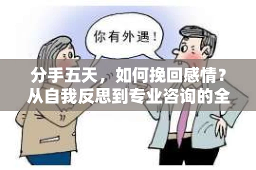 分手五天，如何挽回感情？从自我反思到专业咨询的全面解决方案