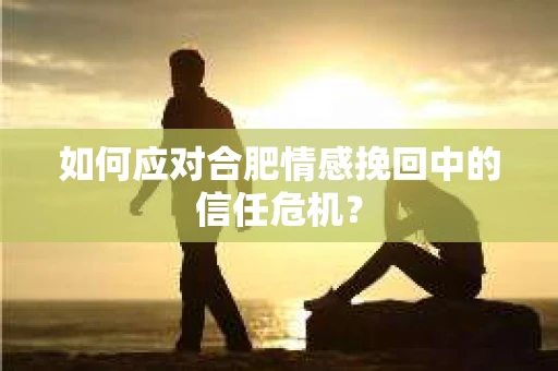 如何应对合肥情感挽回中的信任危机？