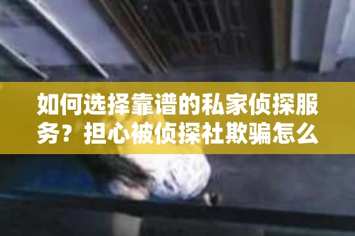 如何选择靠谱的私家侦探服务?担心被侦探社欺骗怎么办? 如何选择靠谱的私家侦探服务?担心被侦探社欺骗怎么办?