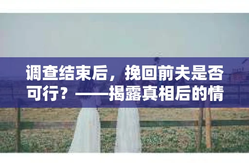 调查结束后，挽回前夫是否可行？——揭露真相后的情感疗愈与人生决策